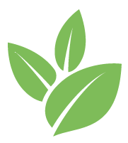 Buzz Japanese Knotweed Removal